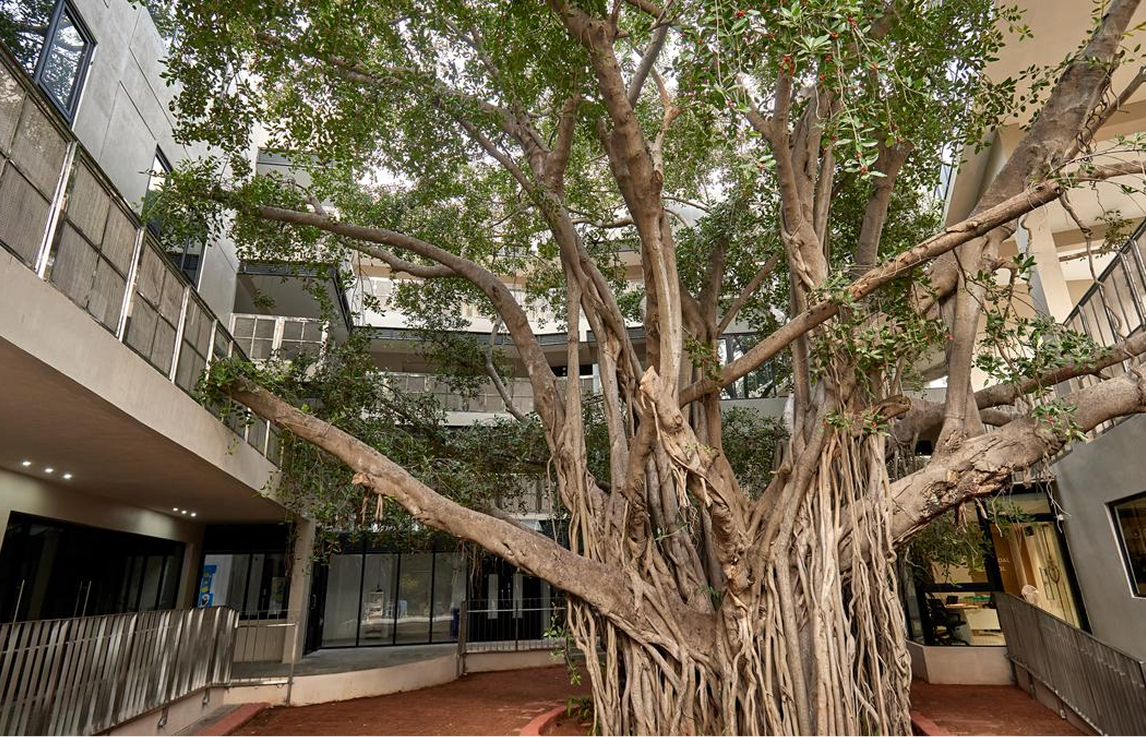 Nature’s classroom